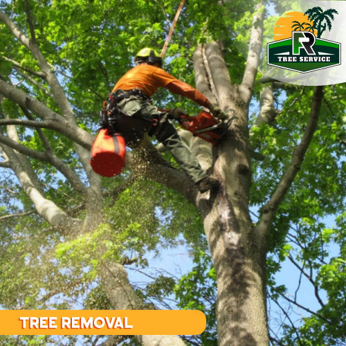 Tree Removal