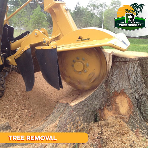 Tree Removal